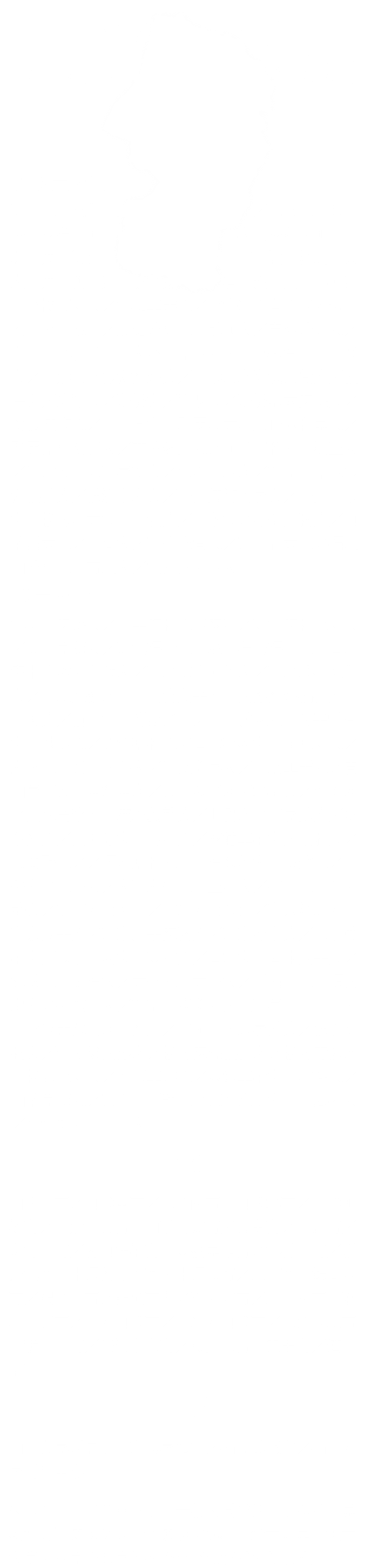 過去五年間の合格実績